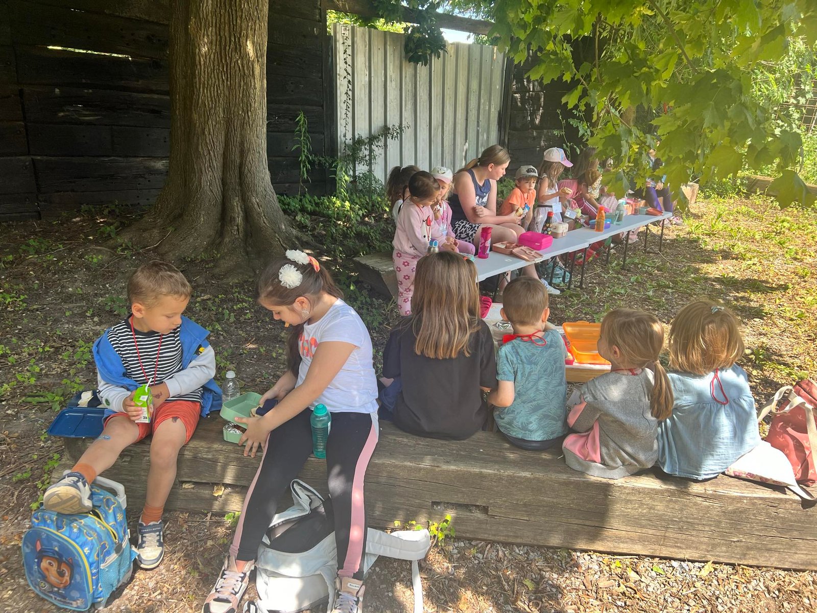 Pique-nique &agrave; l'ext&eacute;rieur sous les arbres